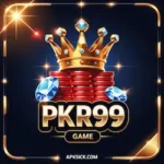 PKR99 APP