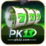 PK11 Game